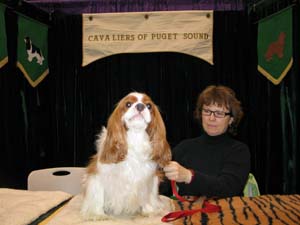 Cavaliers of Puget Sound Breed Booth